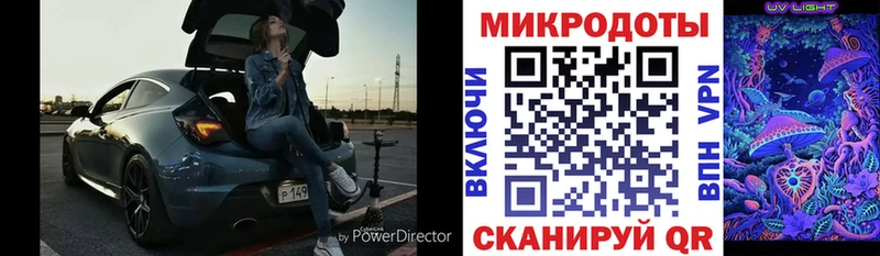 Галлюциногенные грибы GOLDEN TEACHER  нарко площадка Telegram  Ивангород 
